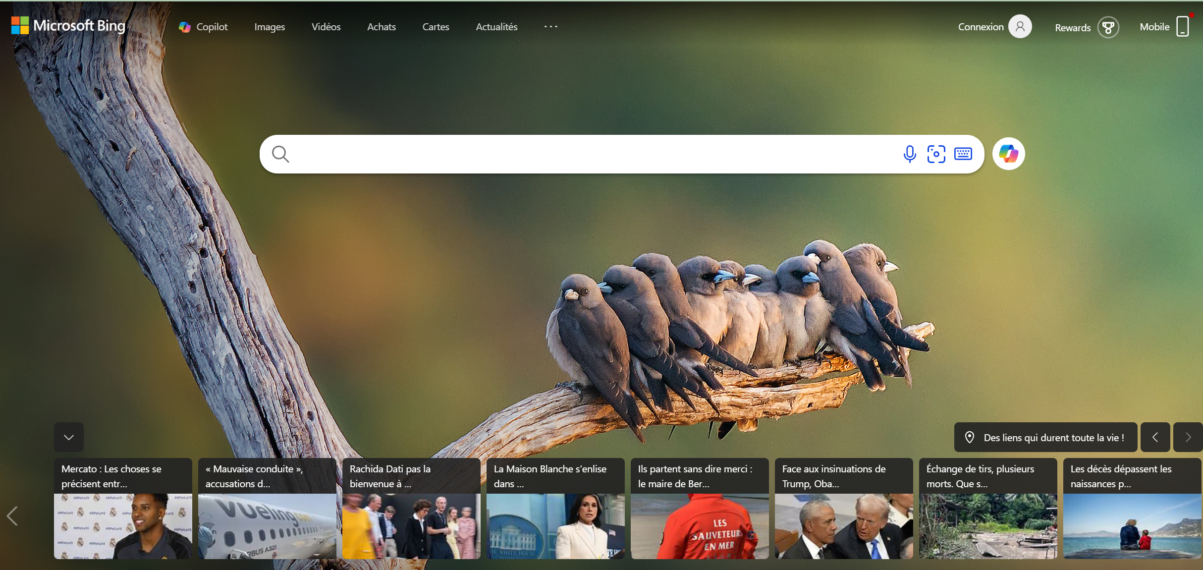Logo Bing sur un écran d'ordinateur